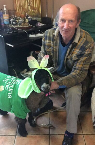 Walk with Kevin to raise funds for Hospice in Glinsk on Sunday, September 24th from 3.30 p.m. to 5.30 p.m.. Walk with Kevin to raise funds for Hospice in Glinsk on Sunday, September 24th from 3.30 p.m. to 5.30 p.m..