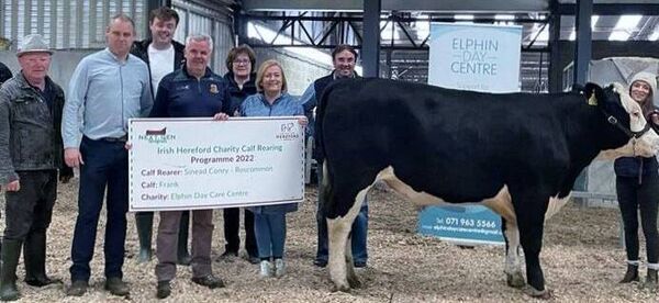 Frank the Hereford was sold last week in Elphin Mart. The animal was donated by Eugene Halligan, all proceeds will go to Elphin Day Centre. Frank the Hereford was sold last week in Elphin Mart. The animal was donated by Eugene Halligan, all proceeds will go to Elphin Day Centre.