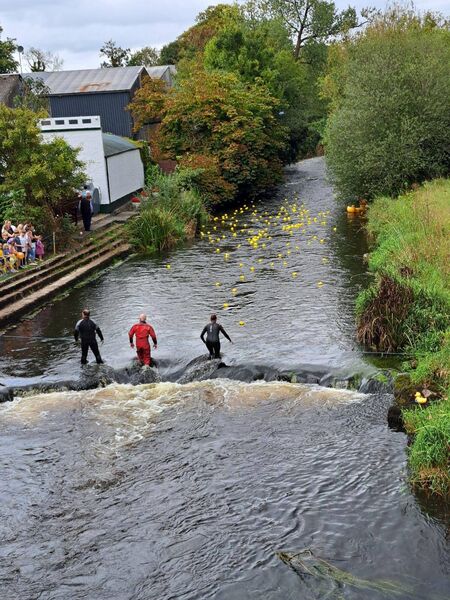 The recent duck race in Castlecoote was a huge success.