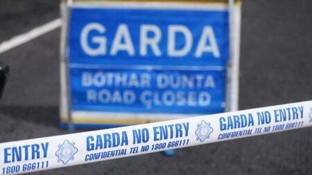 Woman in her 50s dies in Leitrim collision
