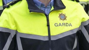 GSOC report shows decrease in number of complaints in 2022 GSOC report shows decrease in number of complaints in 2022