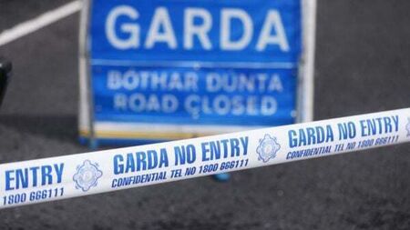 Van driver dies in crash with car in Co Tipperary