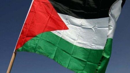 Independent councillors slam vote against flying Palestinian flag over Dublin’s City Hall as 'farcical'