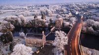 Jack Frost's first visit truly heralds the onset of winter