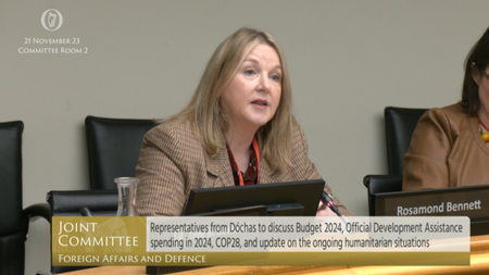 ‘Only a trickle’ of aid going into Gaza, charities tell Oireachtas committee