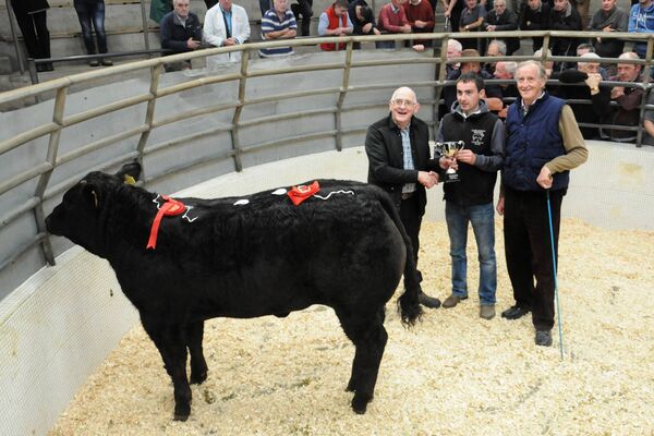 Joe Healy Gannon’s Butchers Castlerea presenting the cup for the Overall Champion Weanling heifer to Declan Davis Williamstown at the Annual Continental Weanling show and sale at Castlerea Mart also in photo is Michael Fox judge on the day. Glynns Photography, Castlerea. Joe Healy Gannon’s Butchers Castlerea presenting the cup for the Overall Champion Weanling heifer to Declan Davis Williamstown at the Annual Continental Weanling show and sale at Castlerea Mart also in photo is Michael Fox judge on the day. Glynns Photography, Castlerea.