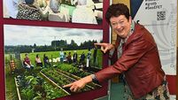 Photographic exhibition showcases best of GRETB Community Education