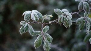 Temperatures to plunge again next week with chance of sleet and hail