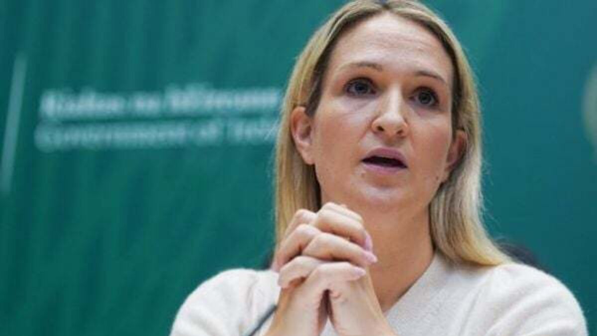 Talk of no-confidence motion against McEntee a ‘distraction’, says Labour