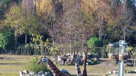 Class Act: Elphin Community College