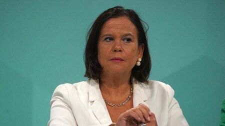 Sinn Féin no-confidence motion against McEntee dismissed as 'political stunt'