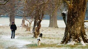 Met Éireann issues another ice warning before milder air brings wind and rain Met Éireann issues another ice warning before milder air brings wind and rain