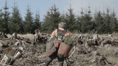 ‘Sketches for an Artificial Forest’ exhibition opens at Roscommon Arts Centre