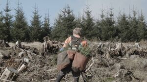 ‘Sketches for an Artificial Forest’ exhibition opens at Roscommon Arts Centre