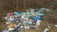 Budget agreed for Boyle Municipal District amid outcry over illegal dumping
