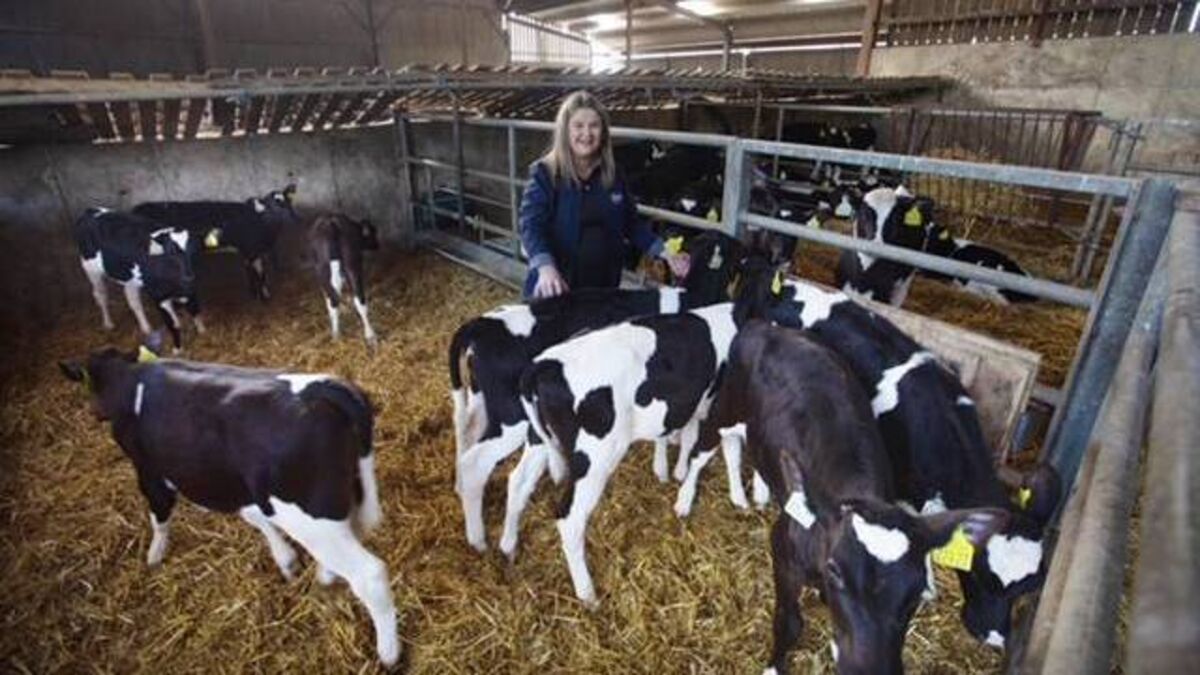 Knockcroghery farmer among key figures in organising Macra protest