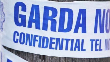 Further arrest made in connection with fatal assault at Tralee cemetery