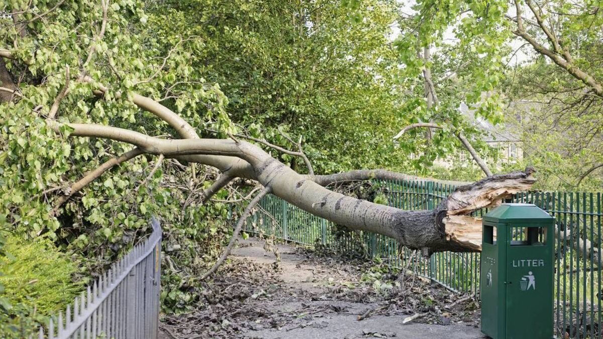 Storm Elin: Weather warnings in place for gale force winds