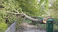 Storm Elin: Weather warnings in place for gale force winds