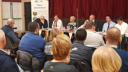 'Seen but not Herd’ programme builds resilience in Glenamaddy