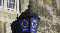 Gardaí appeal for witnesses after shots discharged from firearm in Ballinasloe 