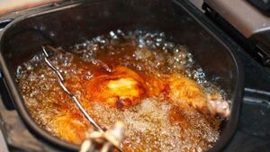 Warning over pouring turkey fat down the sink at Christmas