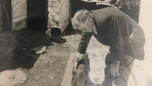 A magical Christmas story