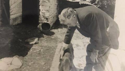 A magical Christmas story - News - Roscommon Herald - Vimarsana News
