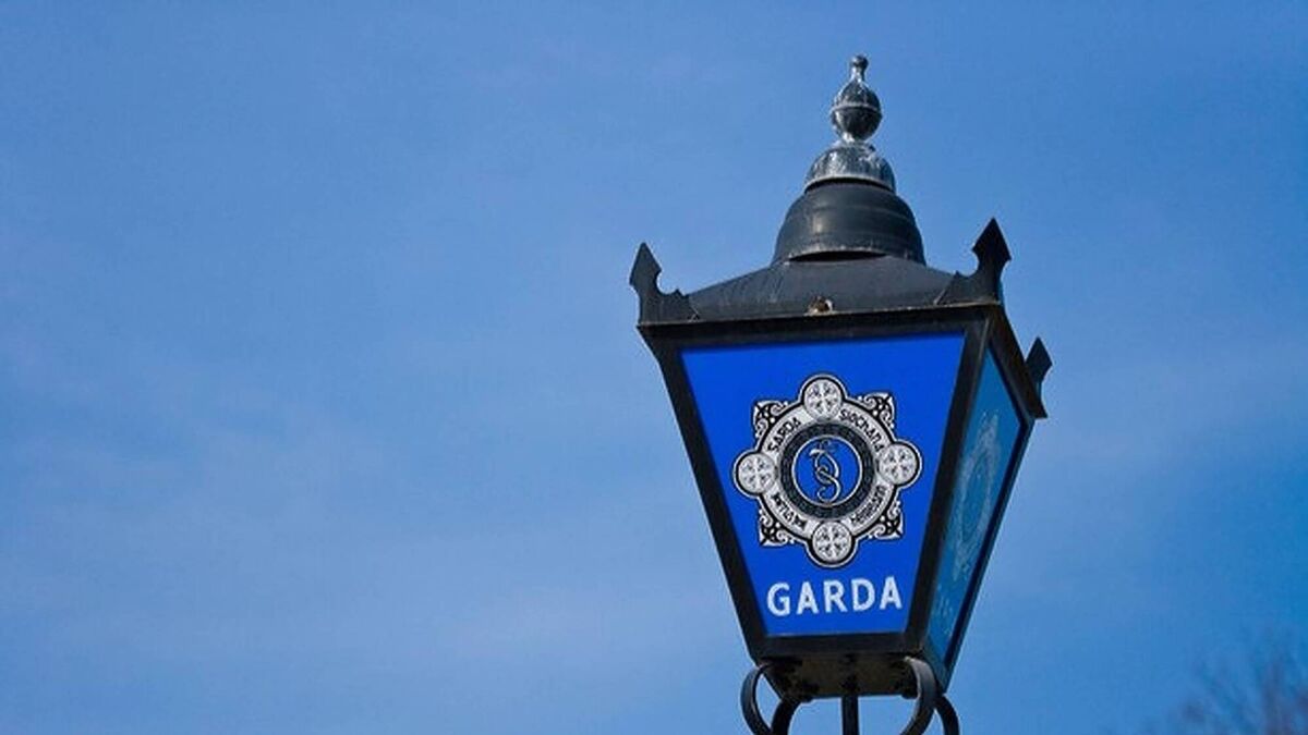 People need to see Gardaí on Roscommon streets