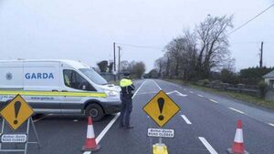 Woman dies and two young children injured in Co Kildare road crash Woman dies and two young children injured in Co Kildare road crash