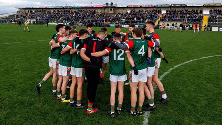 Brigid’s natural instincts can halt Haven’s gallop