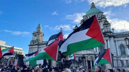 Pro-Palestine demonstrations held in Belfast and Dublin
