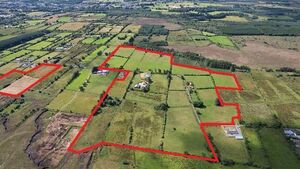 Sixty acre County Roscommon farm has some good road frontage