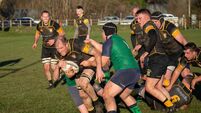 Patterson's hat-trick does the business 