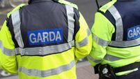 Gardaí stop uninsured young driver with toddler sibling as passenger