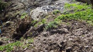 Man fined £50,000 for destroying historic lime kilns Man fined £50,000 for destroying historic lime kilns