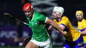 GAA: Limerick defeat Clare as Armagh and Down pick up wins