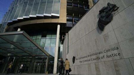 Man who sexually assaulted concert-goer at Marlay Park given suspended sentence