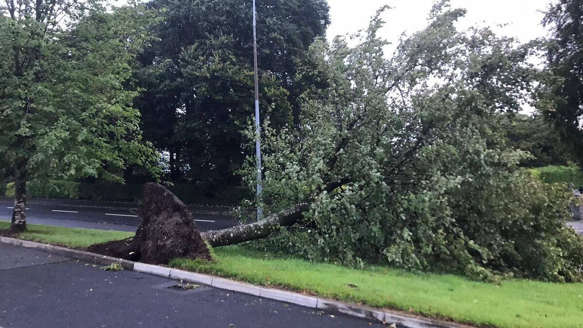 Orange weather warning issued for County  Roscommon