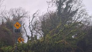 Council warns that trees are down in multiple locations across the county Council warns that trees are down in multiple locations across the county