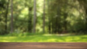 Castlerea Demesne closed due to fallen trees