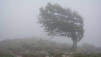 Council issue Storm Isha update