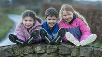 Ditch the shoes, don the wellies on January 31st 