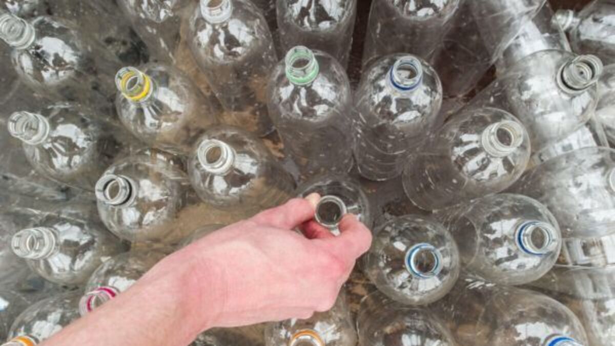 Study finds 95% of people plan to use new deposit return scheme