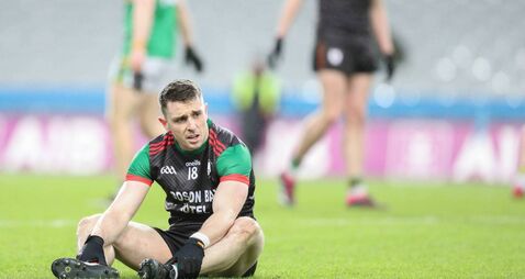 Brigid’s prove that they’re here to stay 