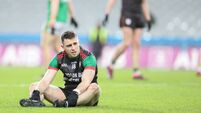 Brigid’s prove that they’re here to stay 
