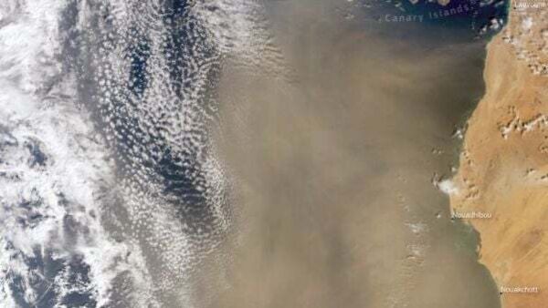 Saharan dust to move over Ireland amid 'unusually mild' January weather