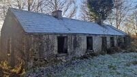 Looking for a restoration project? Cottage on 3.6 acres in County Roscommon could fit the bill