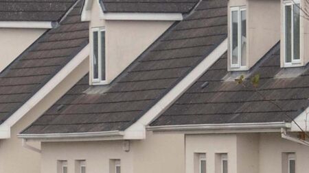 County Roscommon has a residential vacancy rate higher than the national average