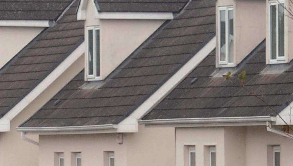 County Roscommon has a residential vacancy rate higher than the national average - News - Vimarsana News